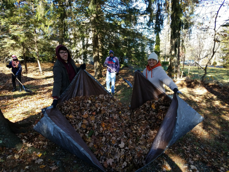 Fall Clean-up
